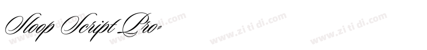 Sloop Script Pro字体转换